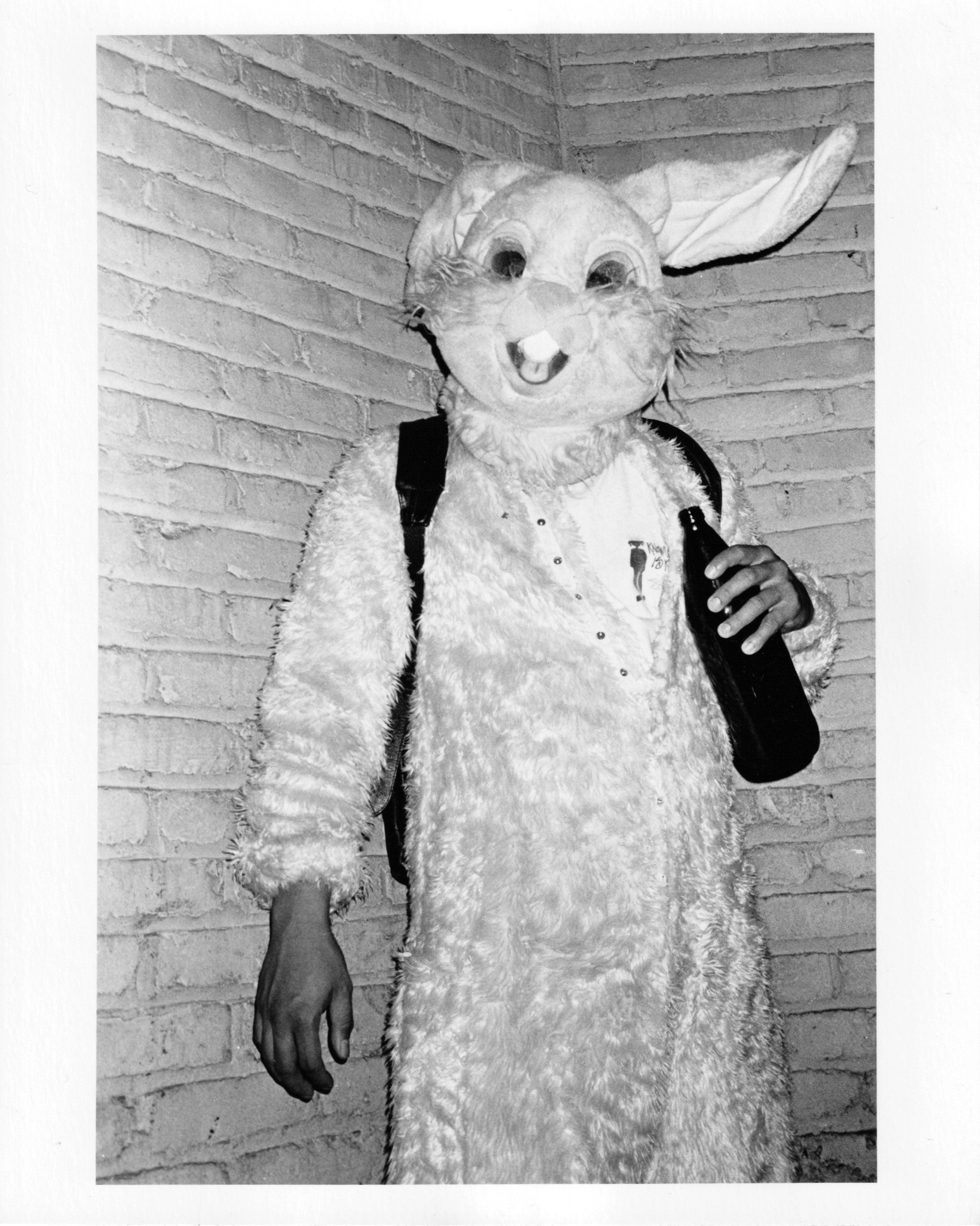 Gino Bunny.jpg