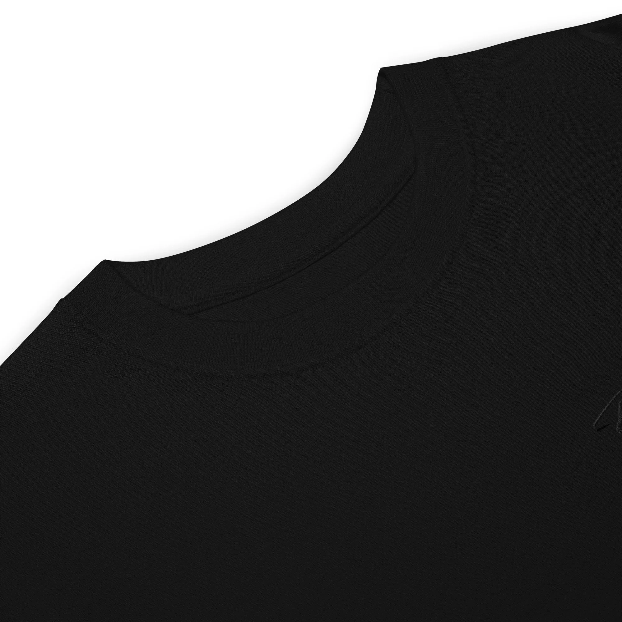 mens-premium-heavyweight-tee-black-product-details-63326d9065e82.jpg