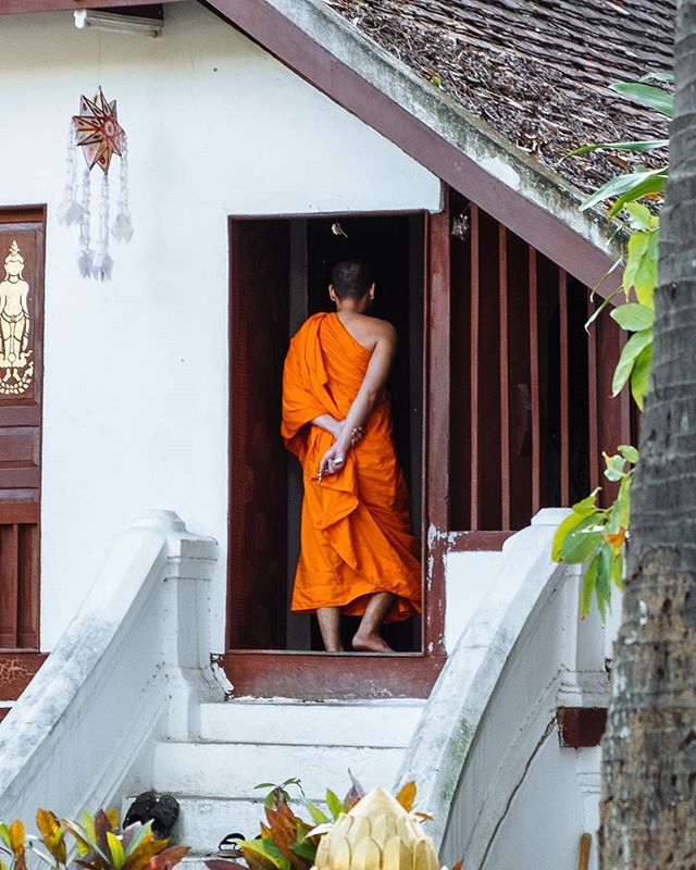 It's impossible not to spot all the saffron robed monks in Luang Prabang. We kept our distance as far too many are thronged daily by tourists with their flash in their faces. 🤦