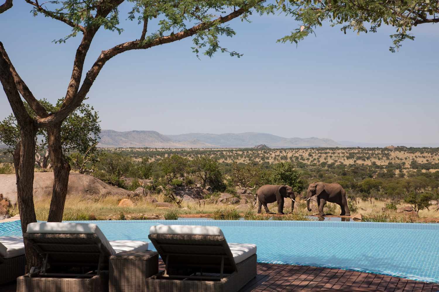 Four-Seasons-Safari-Lodge-Serengeti-2-577c05e13df78cb62c66fd9a.jpeg