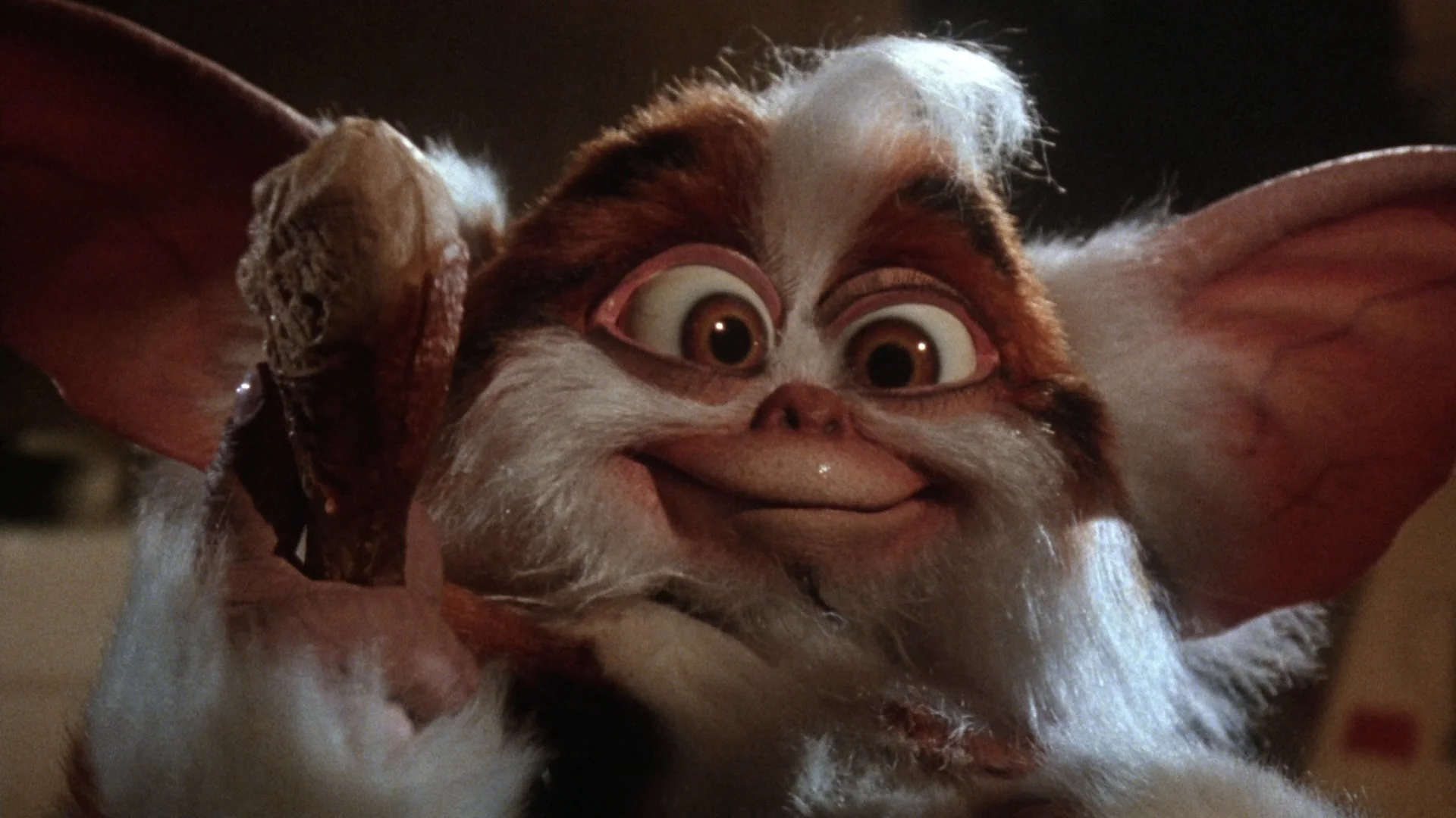 gremlins2sillybanner.jpg