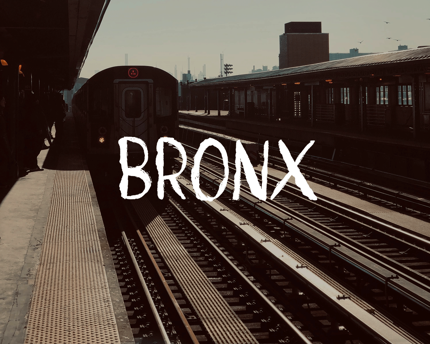 Bronx-V1.gif