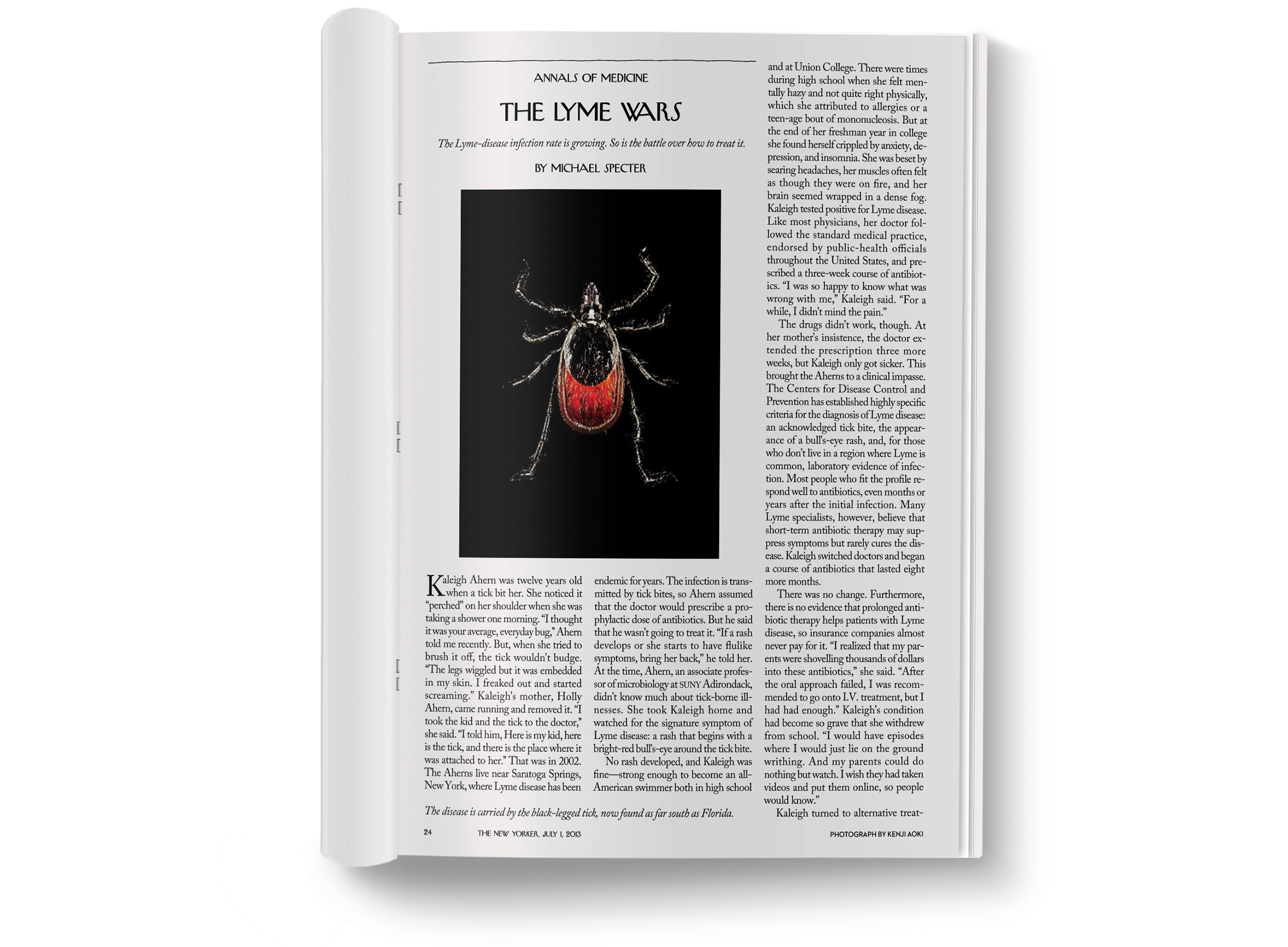   The Lyme Wars  photographed by  Kenji Aoki . 