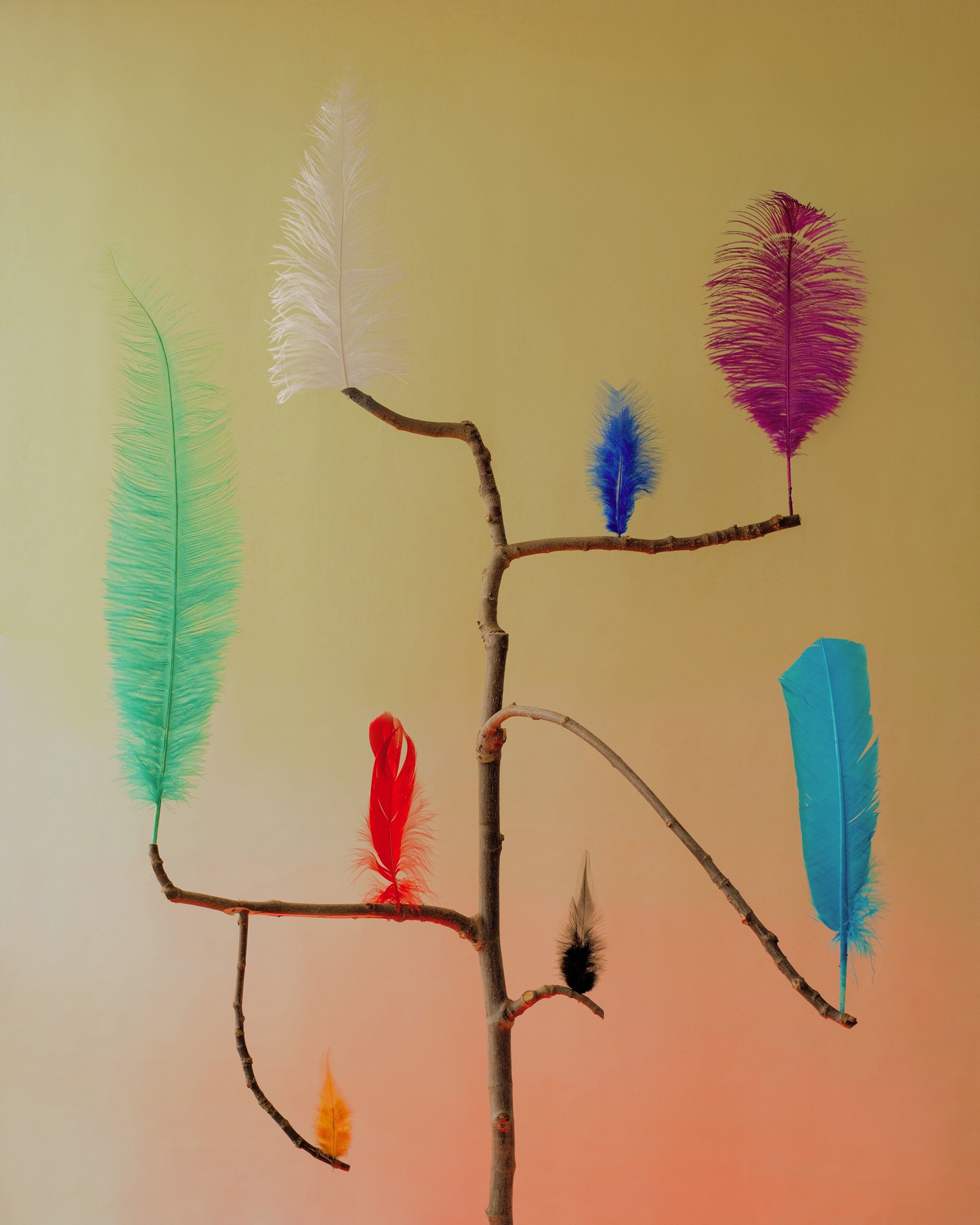   Alzheimer's , photographed by  Jennifer Latour .&nbsp; 
