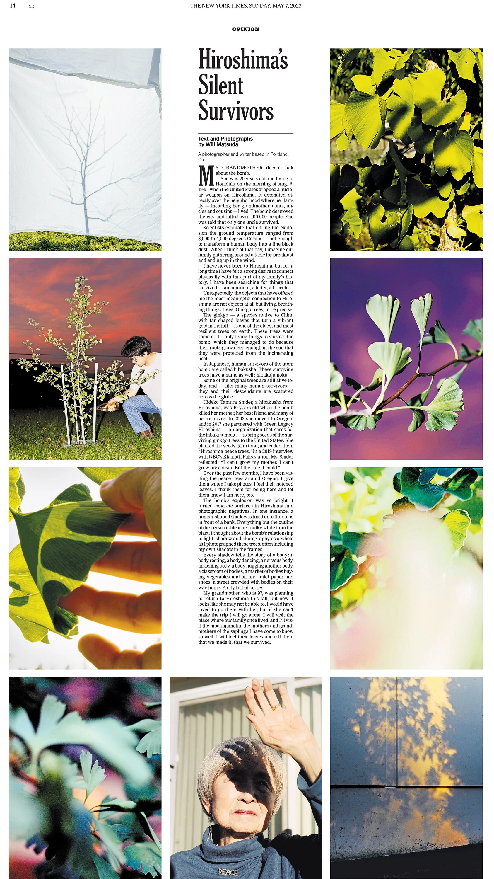   The Trees That Survived Hiroshima  by  Will Matsuda . 