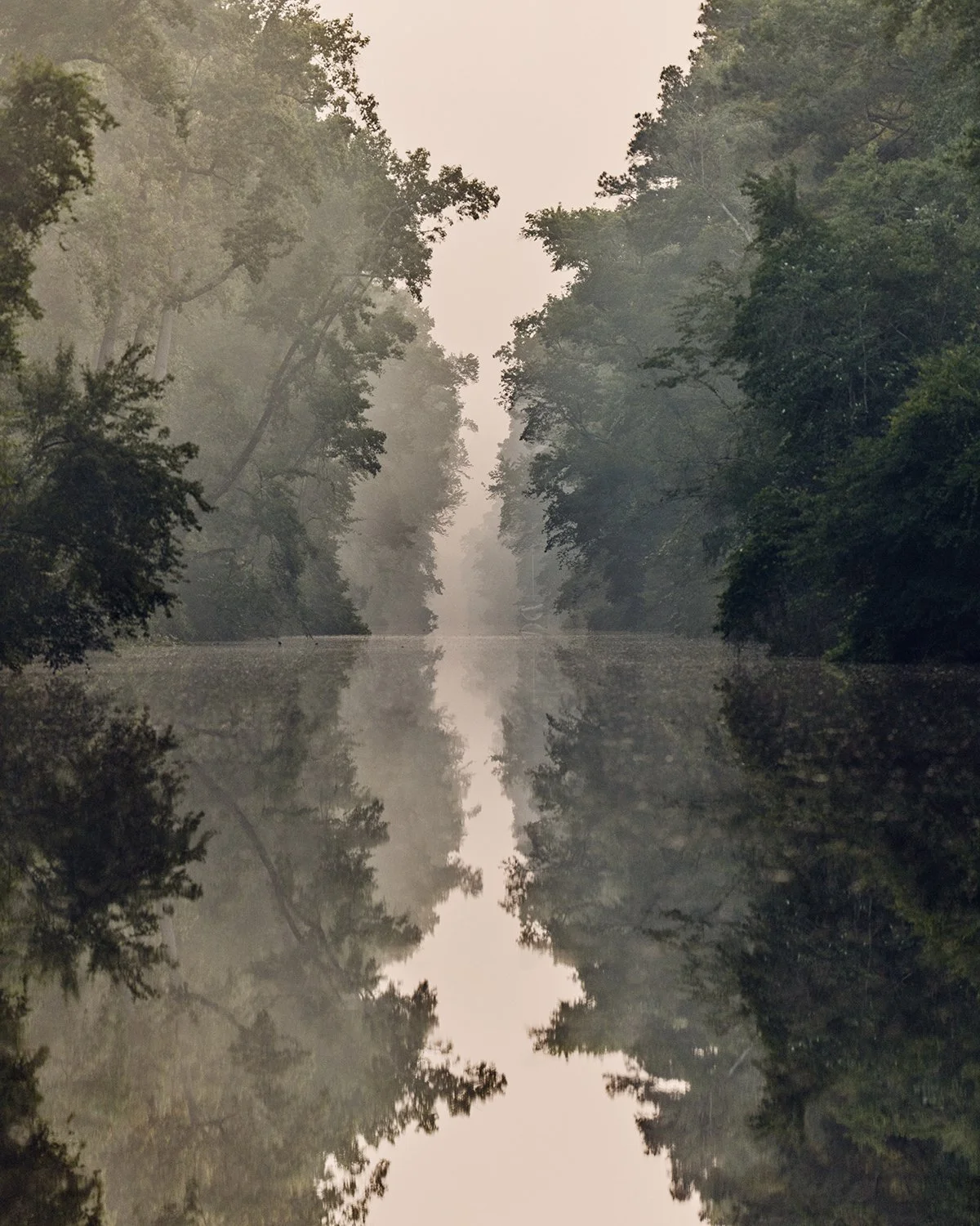  250 Anniversary , photographed by  Thomas Prior . 