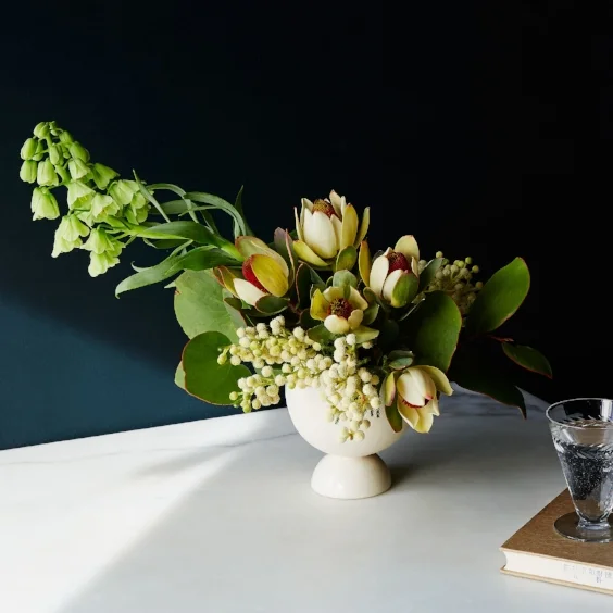 bonabode-covas-planter.jpg
