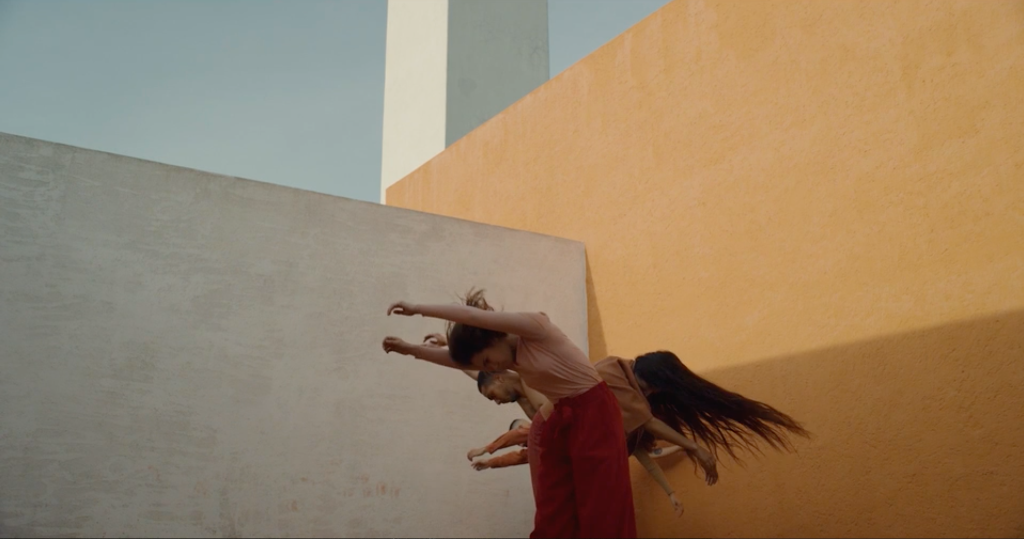bonabode-nowness-ecos-barragan.png