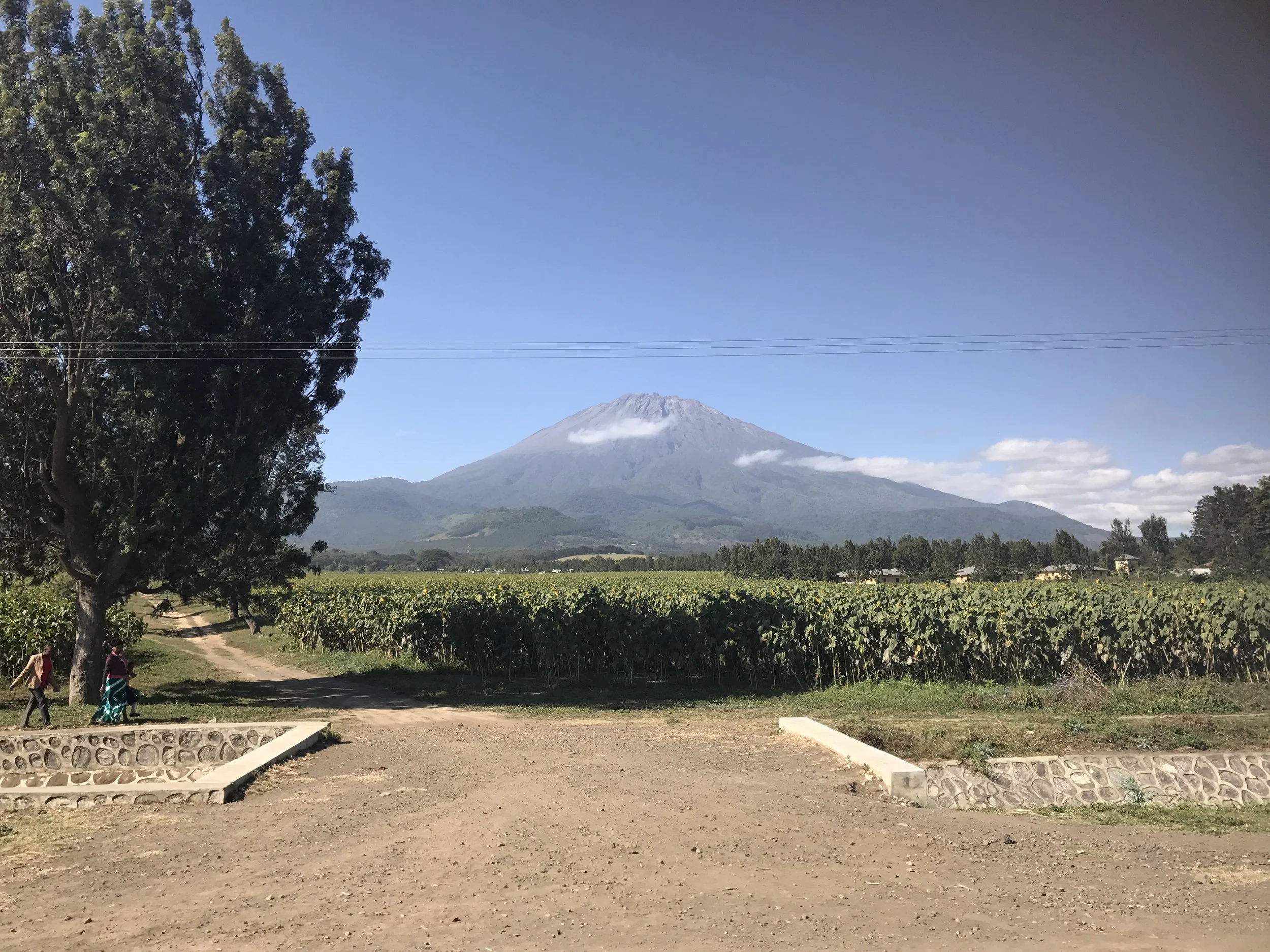 Mt. Meru from Afar