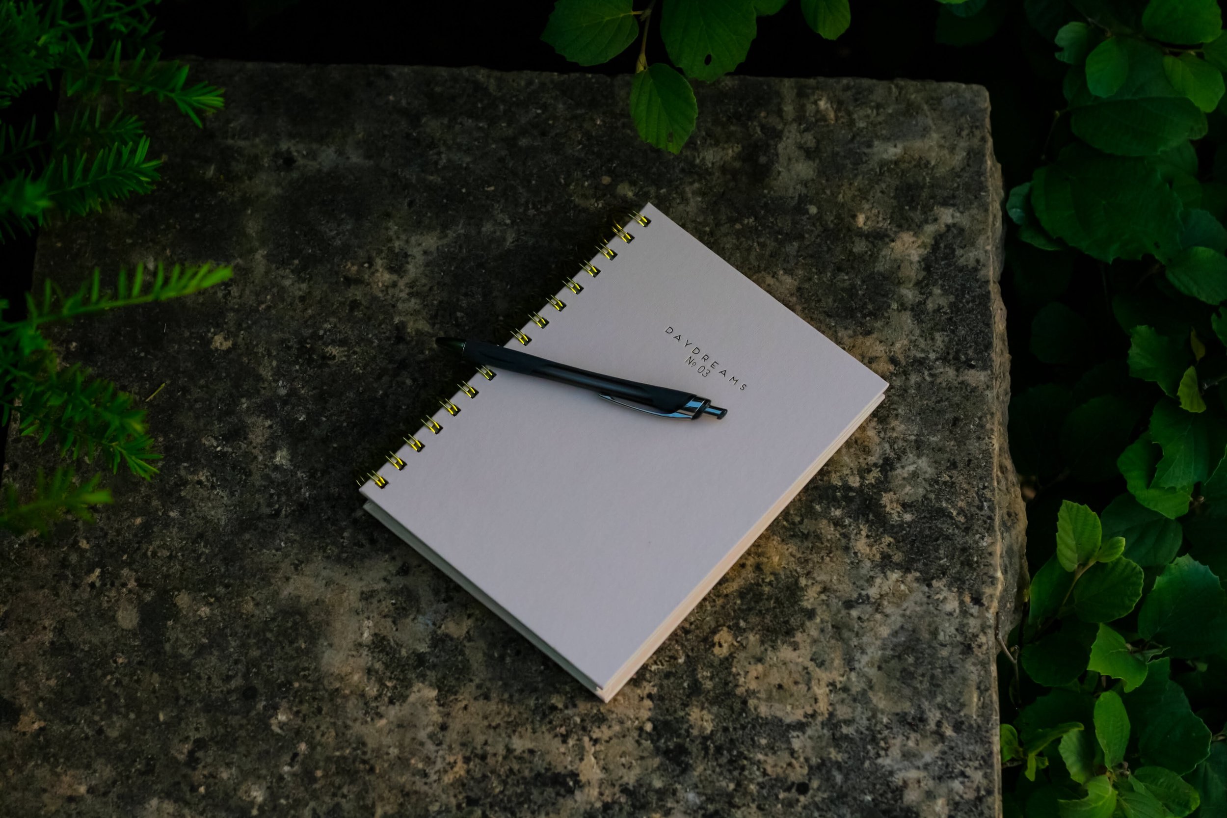 .Write Your Own Future.