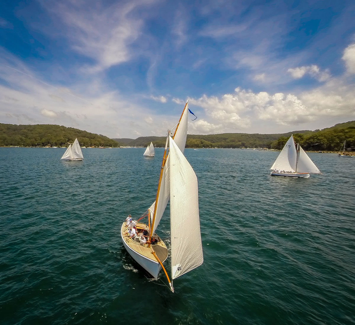 Couta boats on Pittwater