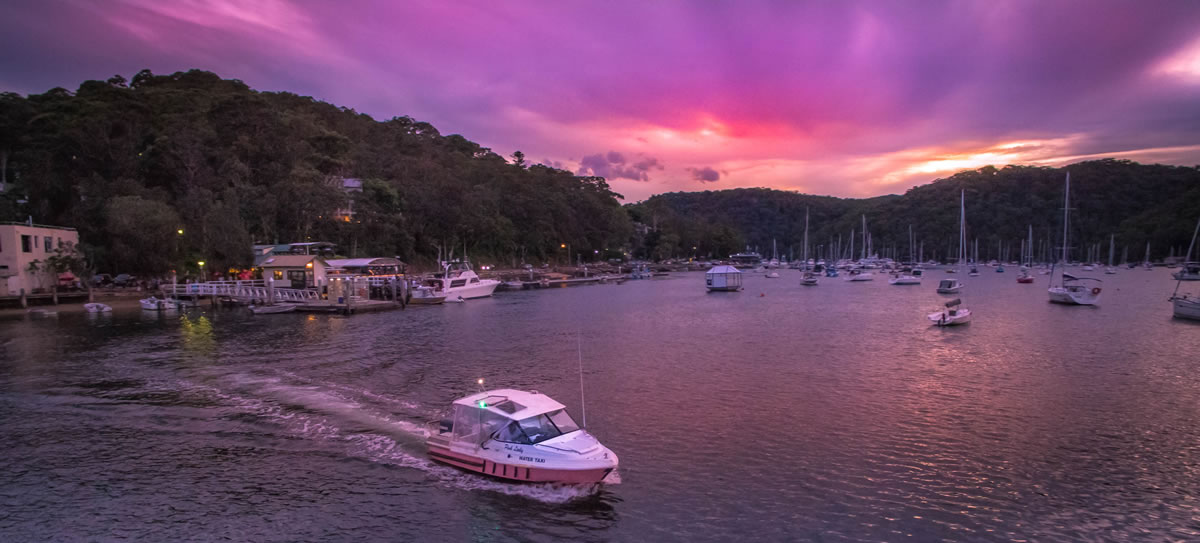 Pink Taxis Pittwater Photo Sam Collins