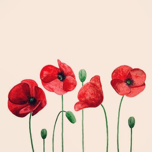 We will be closed for the Anzac long weekend. 
Friday 9-5.30
Saturday * Closed 
Sunday * Closed 
Monday * Closed 
Tuesday 9-5.30 
Our shelves and fridges are stocked. Drop in and remember to stock up on all the goodies. 
#lestweforget