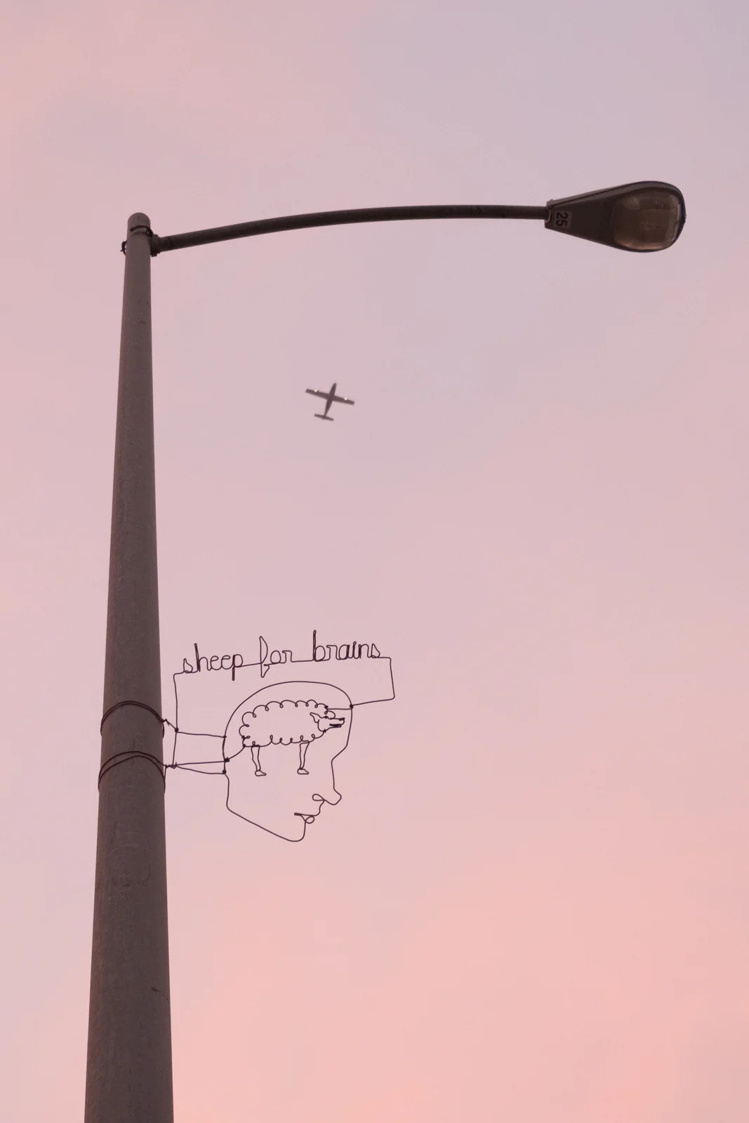 _DSF1275.jpg