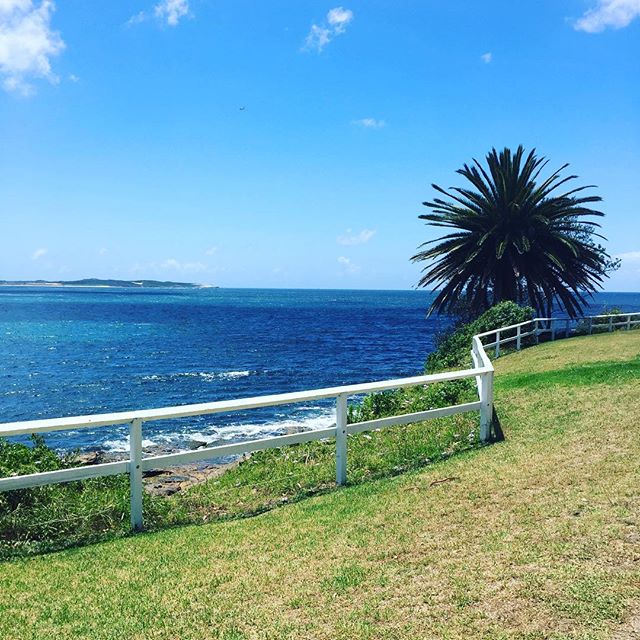 #beach
.
.
.
.
.
.
.
.
.
.
.
.
.
#ocean #blue #bluesky #palmtrees #palmtree #grass #green #view #nature #outside #summer #bluth #photo #photography #sydney #australia #travel #2017 #christmas #noclouds #clouds