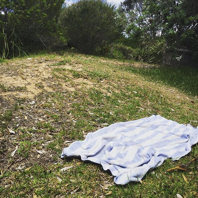 #towelinaround .
.
.
.
.
.
.
.
.
.
.
.
#horseingaround #bojack #bojackhorseman #towel #towels #towels #towelcake #toweldry #towelboss #grass #grassfed #beach #beachfed #beachfedoras #gains #beachgains #kanyewest #kimyae #boon #christmasboon #shore #o