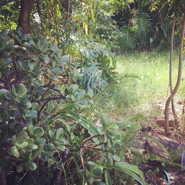 #secretgarden
.
.
.
.
.
.
.
.
.
.
.
.
#gardenparty #hightea #madhatter #alice #aliceinwonderland #mueller #trump #whitehouselawn #whitehouse #america #usa #burger #benedictburger #kellogsdiner #kelloggs #hmm