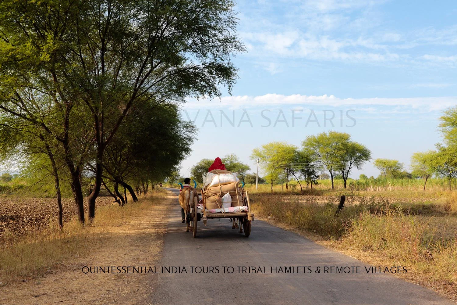 Vana website image addition.jpg