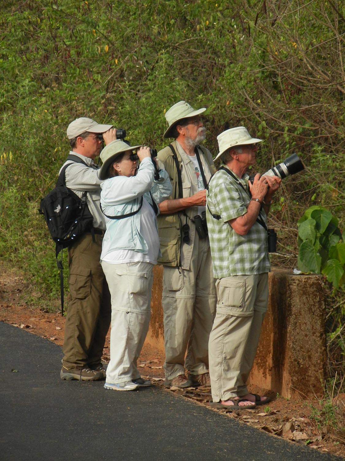 Small Group Tour_1.jpg