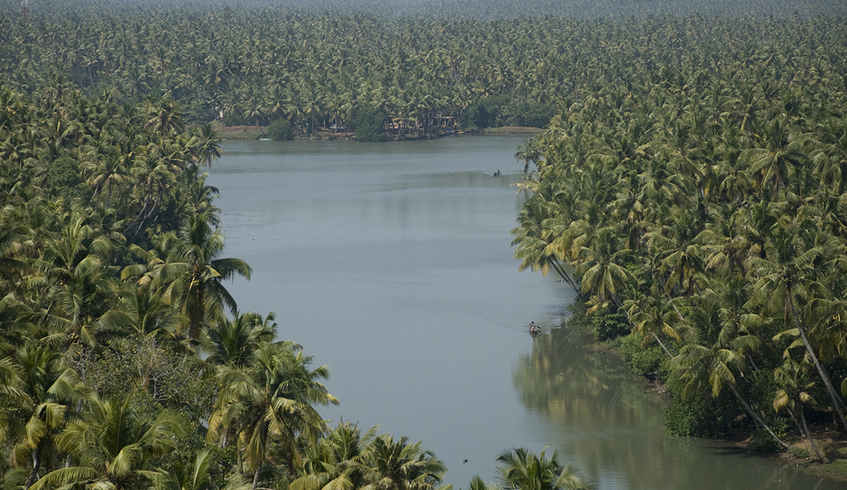 Kerala_coconut.jpg