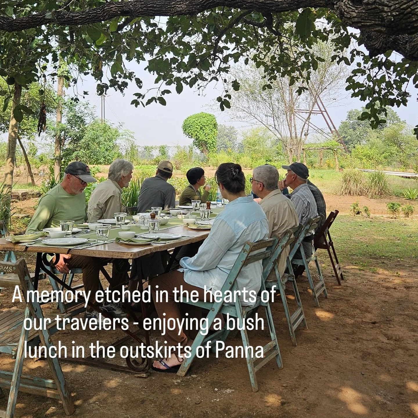 Panna tiger reserve was rewarding for our guests from US - a no of good birds and the tiger but they equally enjoyed the beautiful setting of the Sarai at Toria (run by noted conservationists Dr. Raghu Chundawat and Joanna Van Gruisen) &amp; this sub