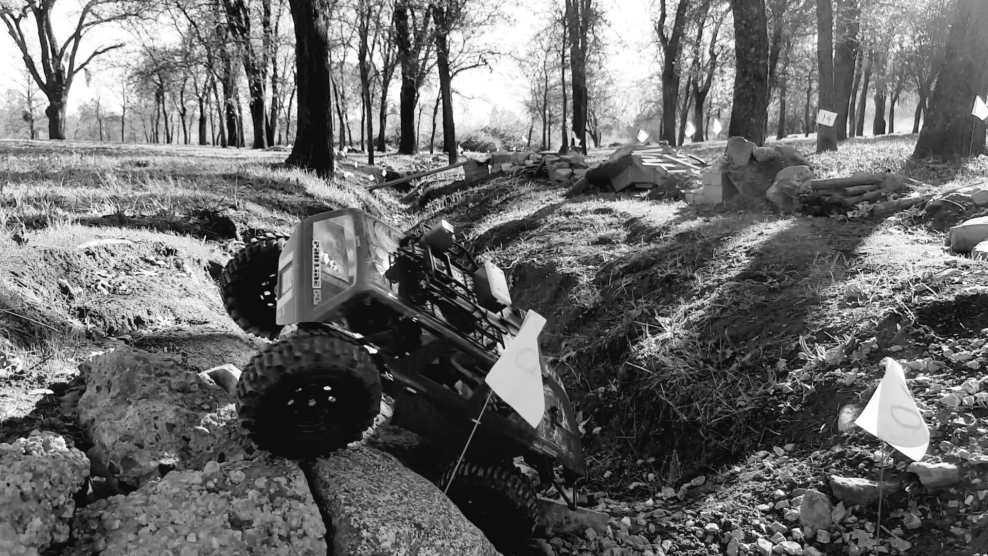 "Shake it Off" Crawl to Support Epilepsy!