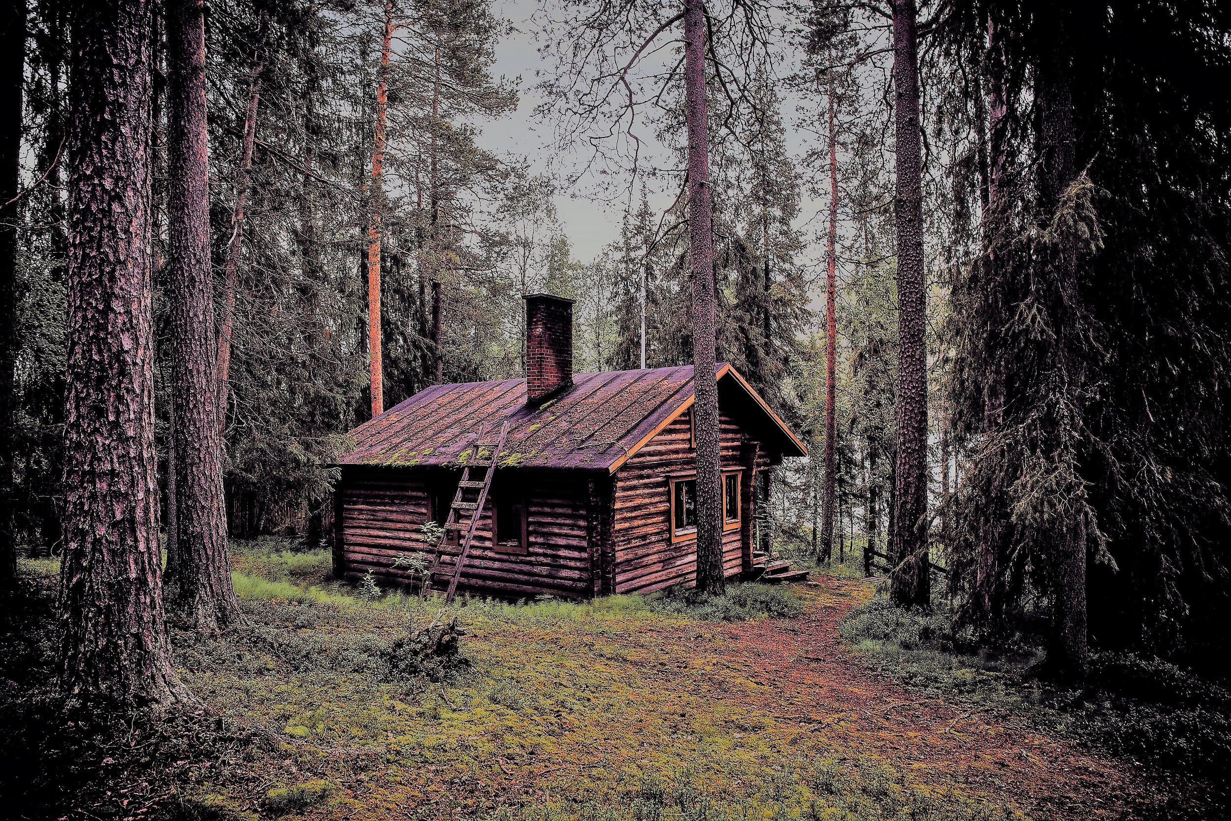 Color cabin 2.jpg