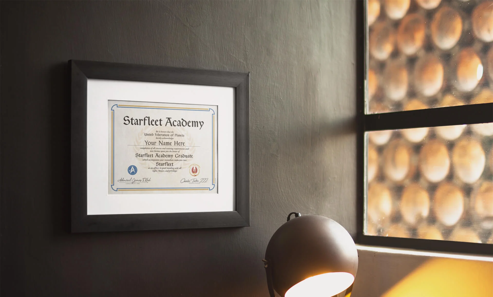 Are you in need of some official Star Trek gear?