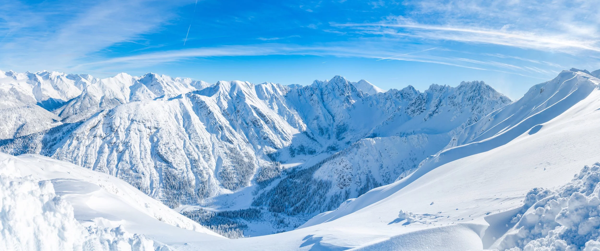 AdobeStock_243940697.jpeg
