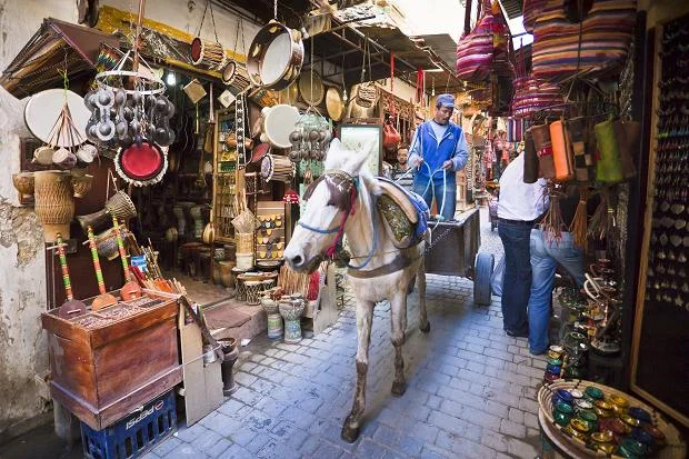 Fes , like Venice, is one of those cities that is singular not just for it's cultural treasures or it's food or it's population - but also for it's extraordinary layout in a space largely off-limits to motorized vehicles. It is a city that is an actual labyrinth. Normal maps are pretty much useless in this dense Moroccan metropolis. Some say you should always have a guide there or you will get hopelessly lost. But for us - though we did have a guide for part of the visit - the part that was most fun was when we WERE on our own and getting lost. As you wander through the narrow streets of the medinah, taking in all of the manifold small businesses & discreet passageways, the sounds of human and animal activity - voices, footsteps, donkeys, laborers in small tanneries and metal-working shops dominate - and you realize that this was the way the world sounded before the advent of cars and trucks and the motor-traffic rumble.