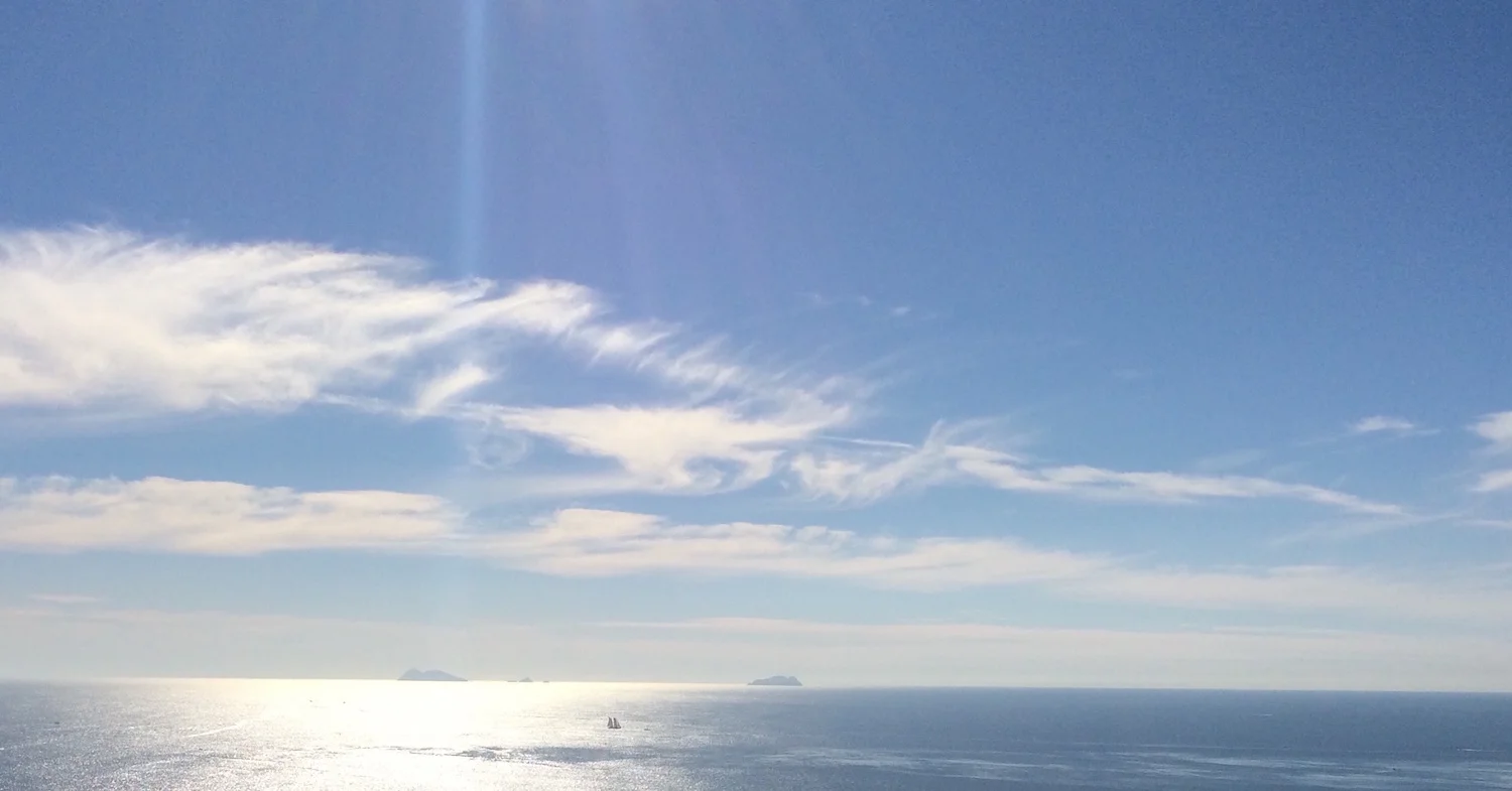 IMG_0418 11.14.10 AM.JPG