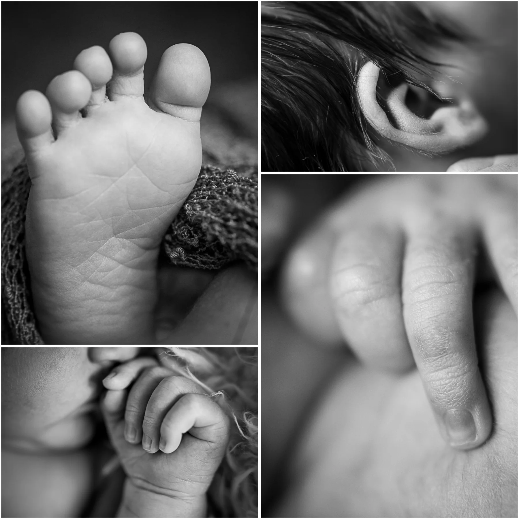 Ciro:  Newborn Session