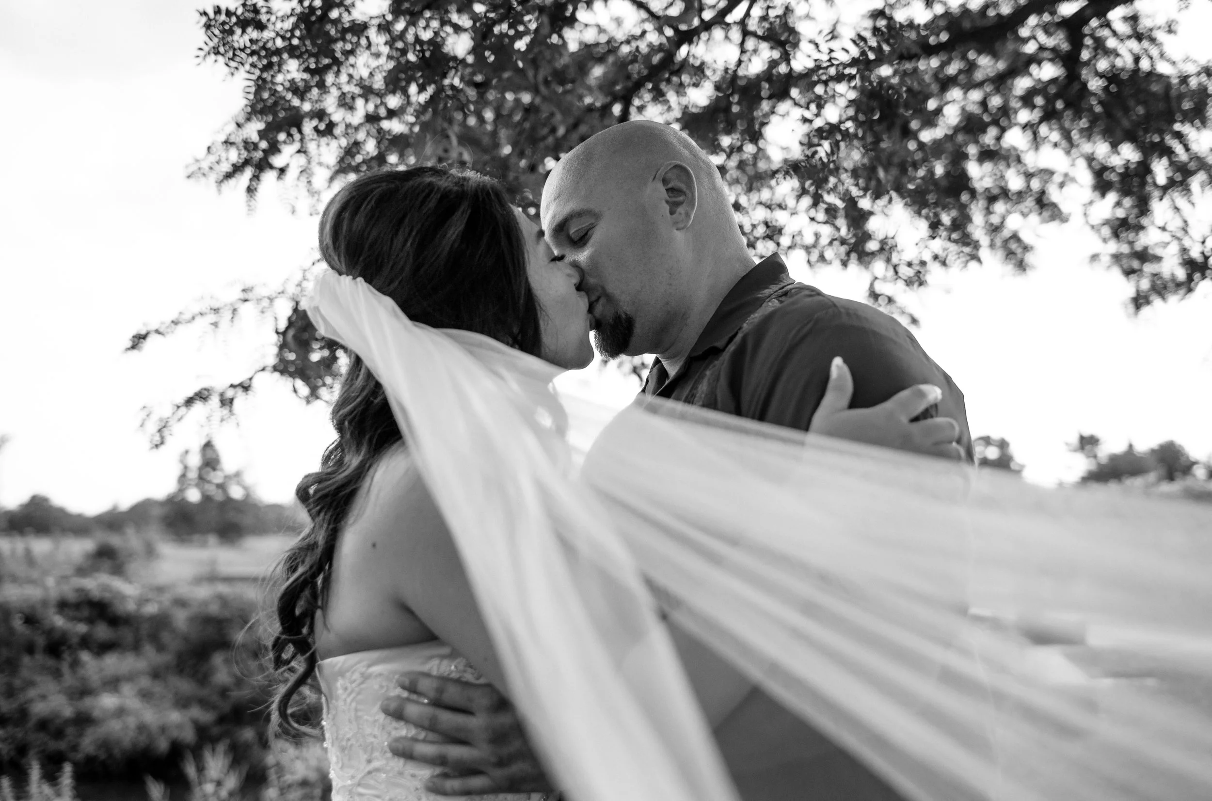 Stephanie & Tony:  Seven Bridges Golf Club Wedding