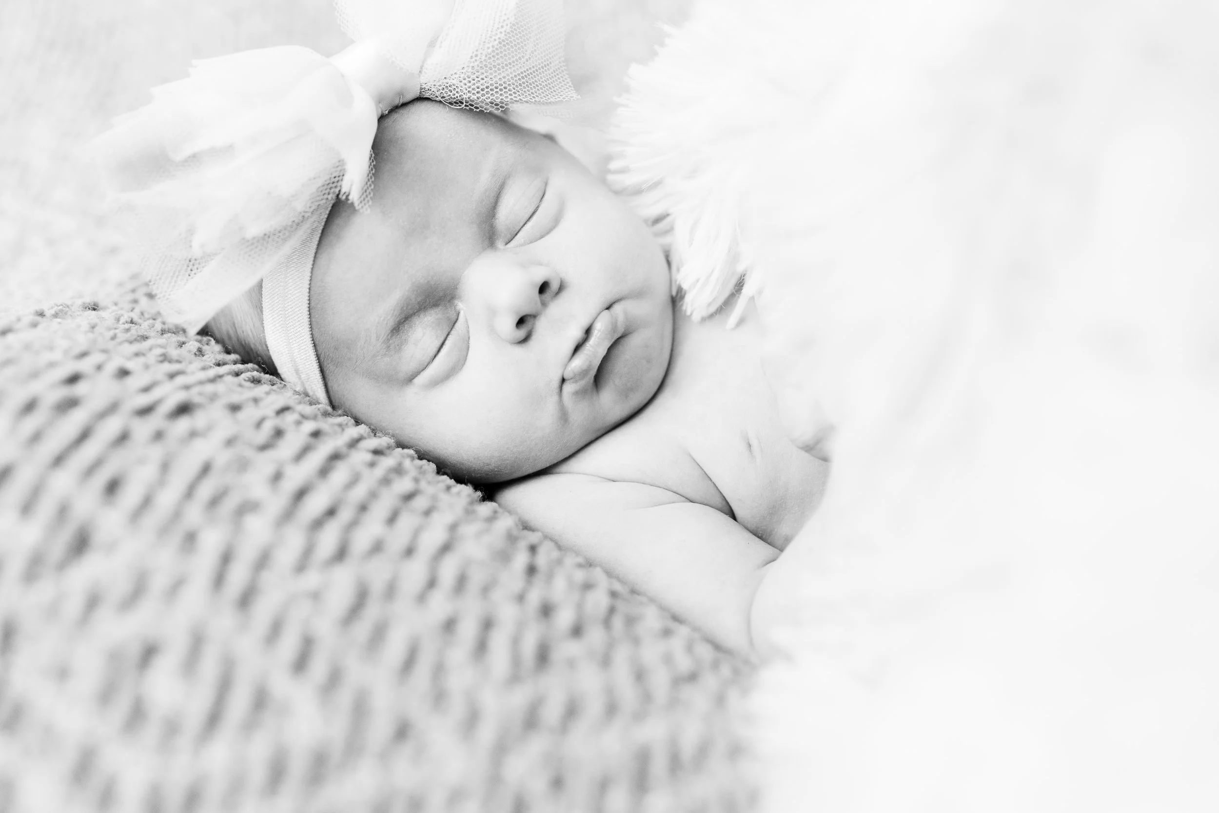 Freya:  Newborn Session