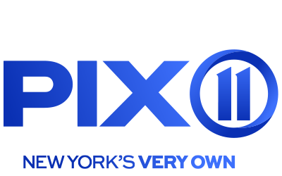 The logo of the NFL (National Football League) with a stylized depiction of a football in a blue and purple color scheme.