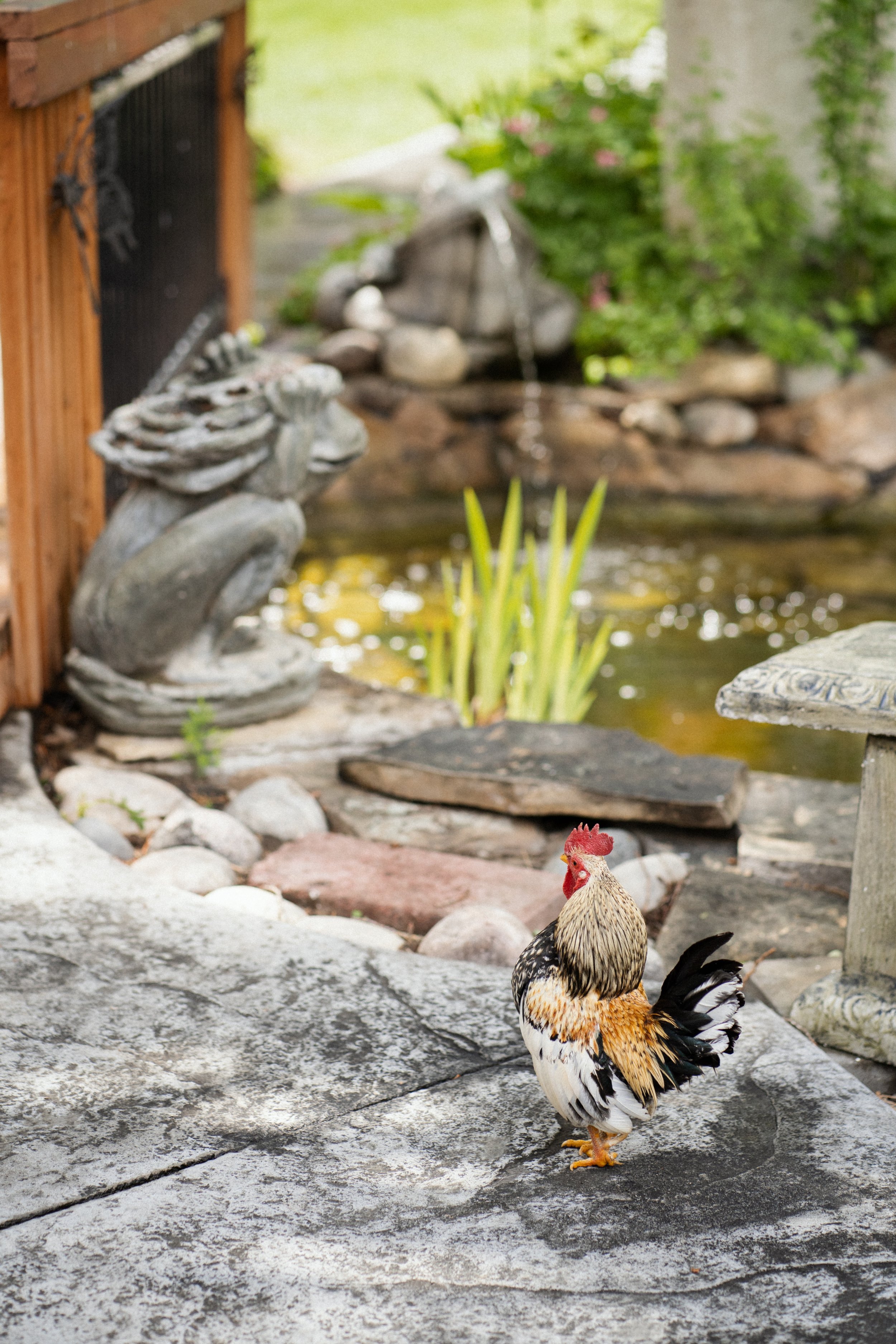 DanWalt Gardens Wedding Photos // Billings, MT Photographer // Sarah and David - C4