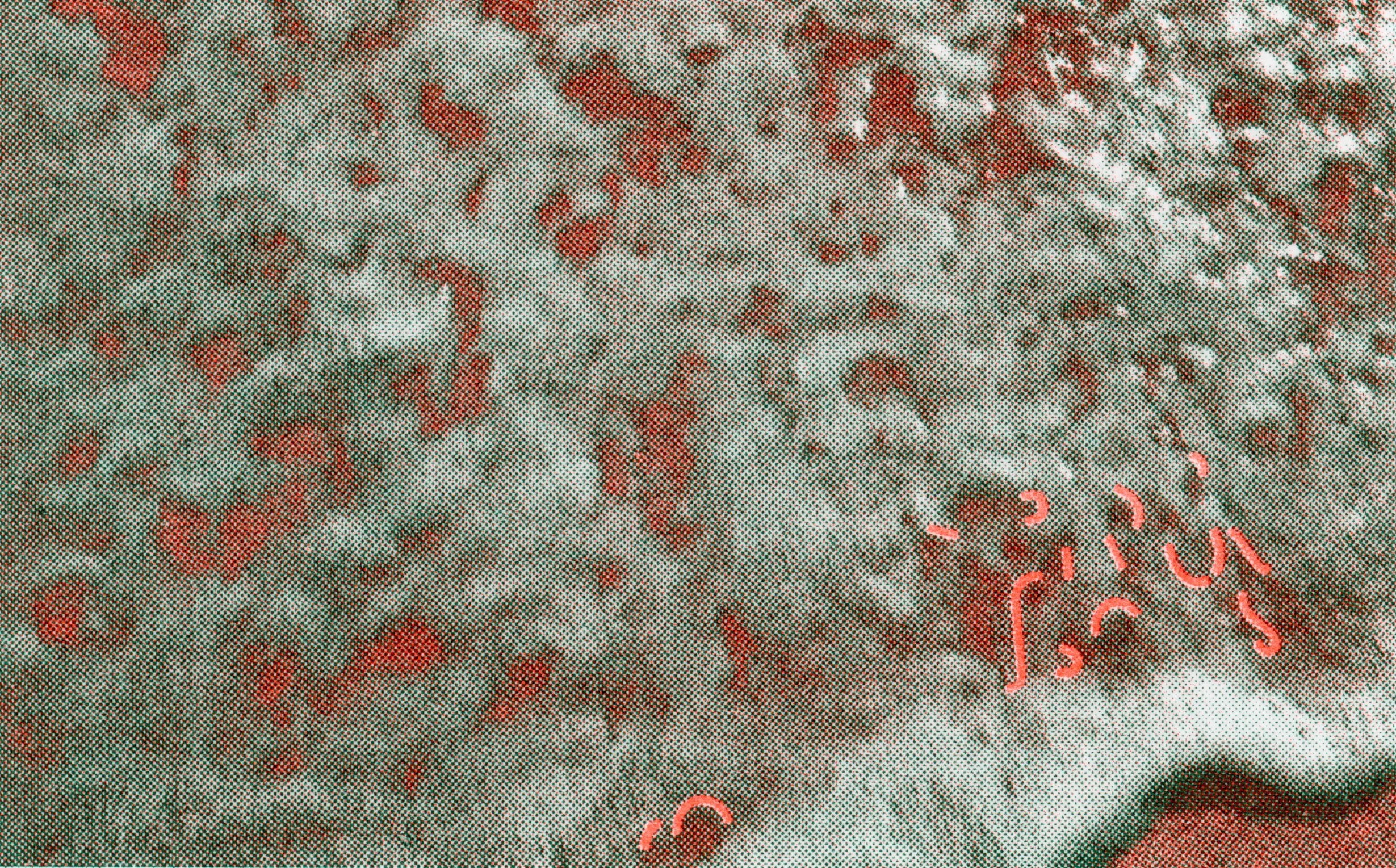 ASafeNow_Ani-Scan_059.jpg