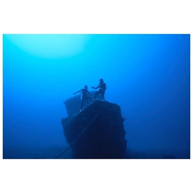 Some horsing around in the deep || #antigua #diving #underwaterphotography #ikelite #underwater @momowils @ikelite @sonyalpha #sonyalpha