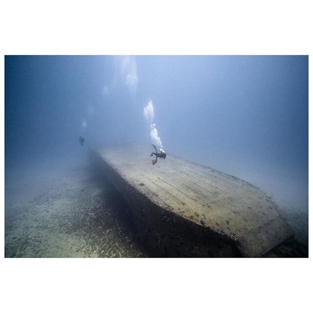 Really fun dive exploring old barges. So fun to see the amount of life hiding inside || @momowils @rboltar @ikelite #diving #underwaterphotography #antigua #scubadiving #artificialreef #sonyalpha #ikelite