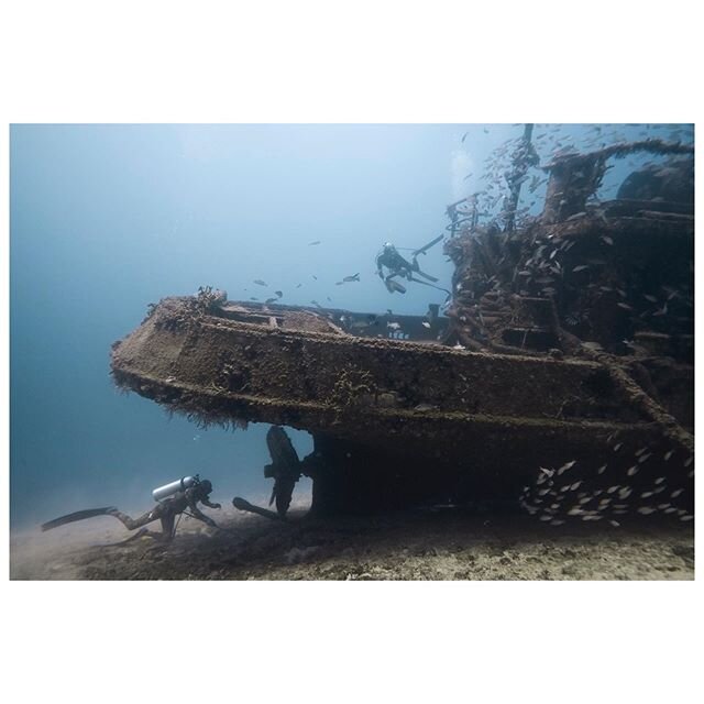 This tug has a whole new purpose below water, nice to see it as a thriving fish palace. Had to spend a few minutes culling lion fish populations though, it was getting out of hand || @rboltar @momowils @ikelite #diving #antigua #underwaterphotography