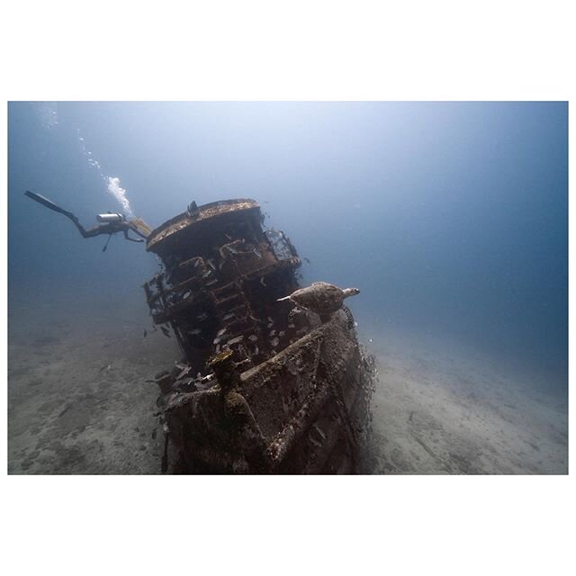 It’s like being on another planet. Visibility like this doesn’t happen everyday here, definitely making the most of it || #diving #antigua #scubadiving #ikelite #seaturtle #officialfstoppers #underwaterphotography #sonyimages @rboltar @i