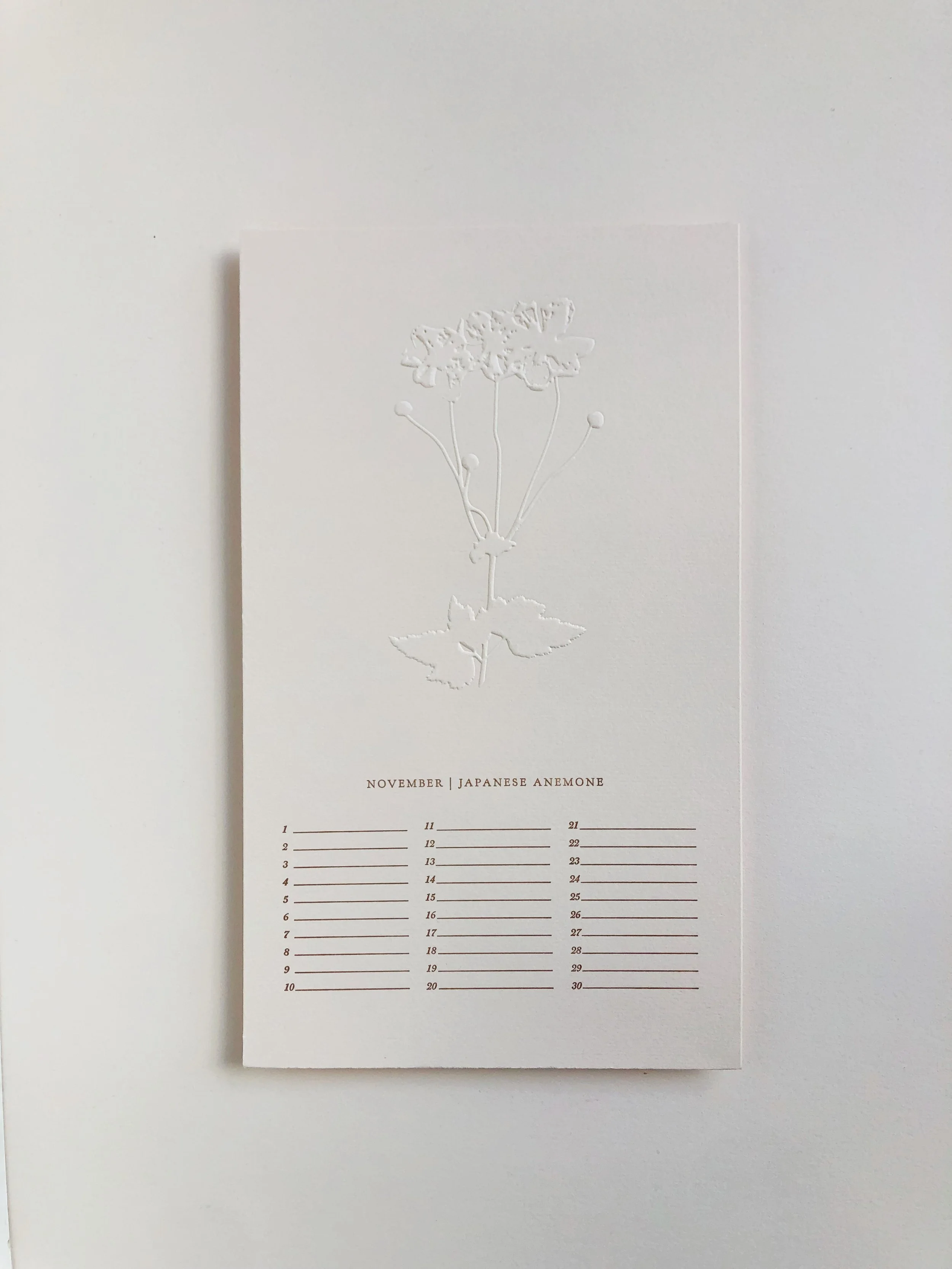 IMG_C18771761C82-8 2.jpeg