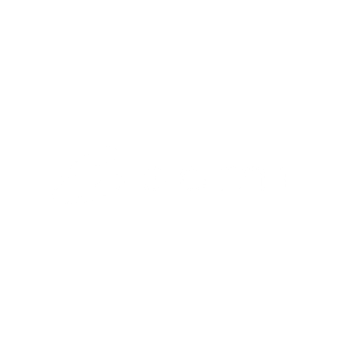 11.png