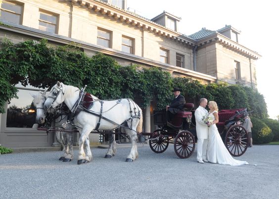 horse drawn carriage ride .jpg