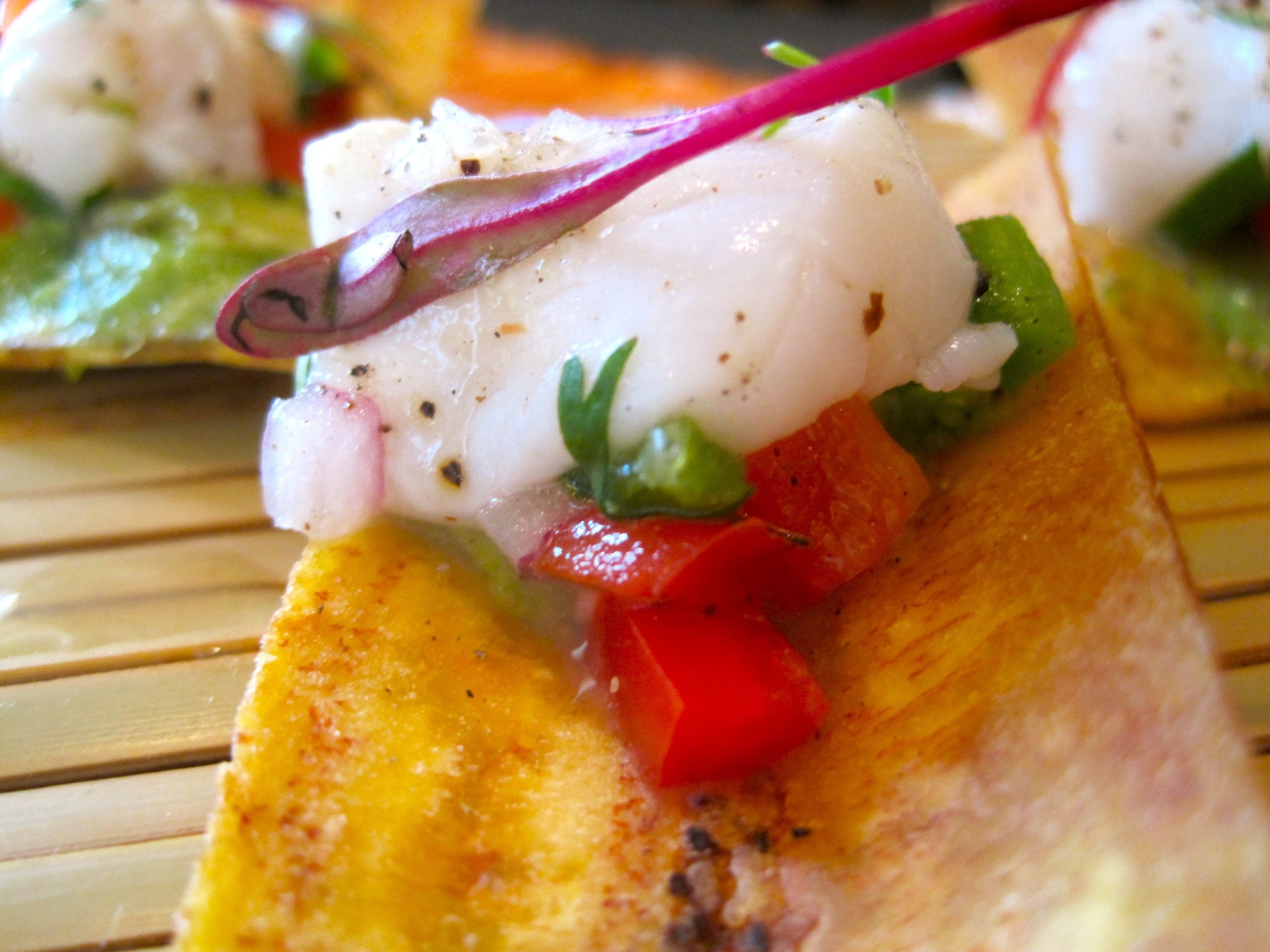 Red Snapper Ceviche on Lime-zested Crispy Plantain