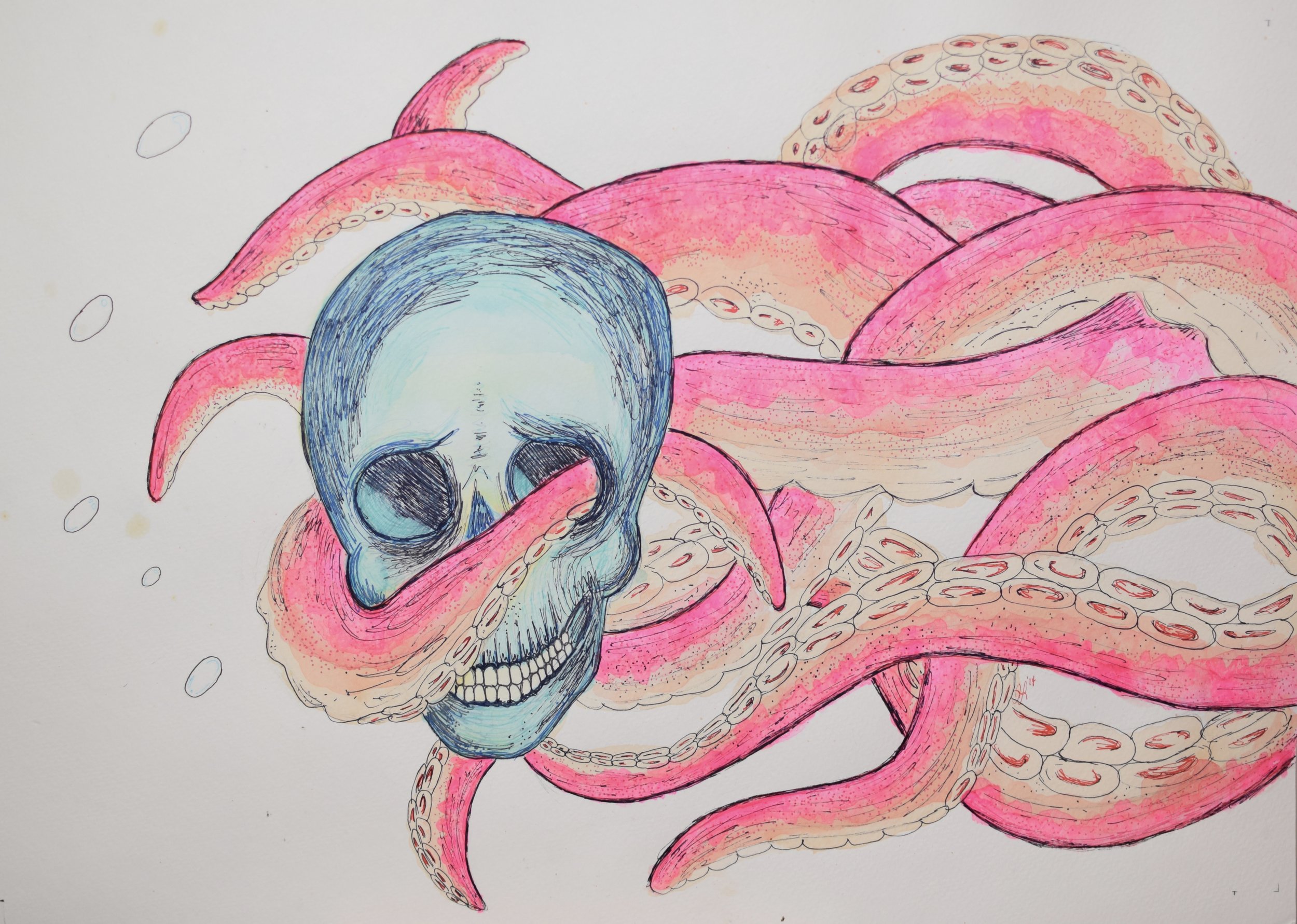 Skull & Tentacles
