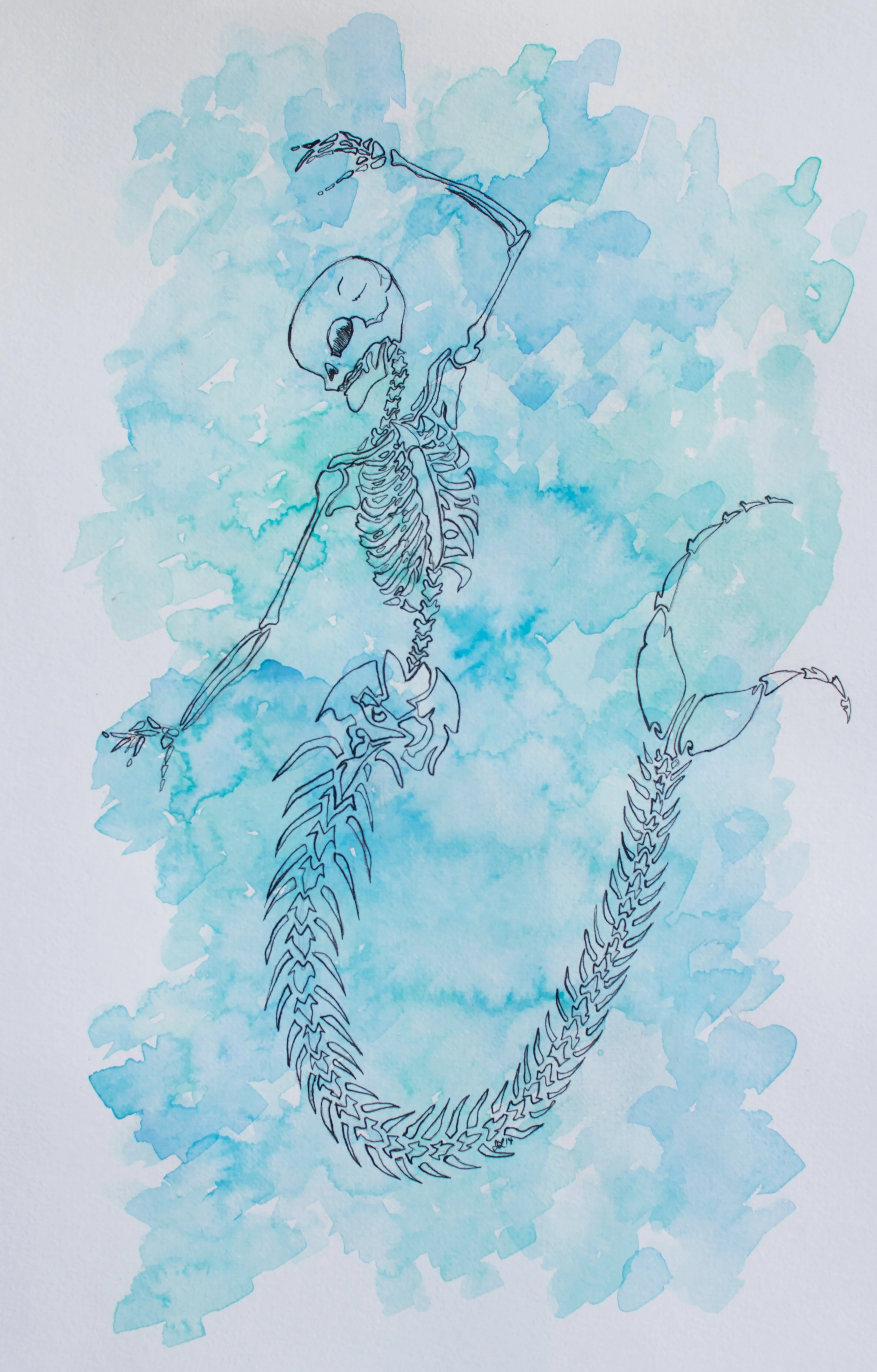 Mermaid Skeleton - Jackalope Art Co 2014.jpg