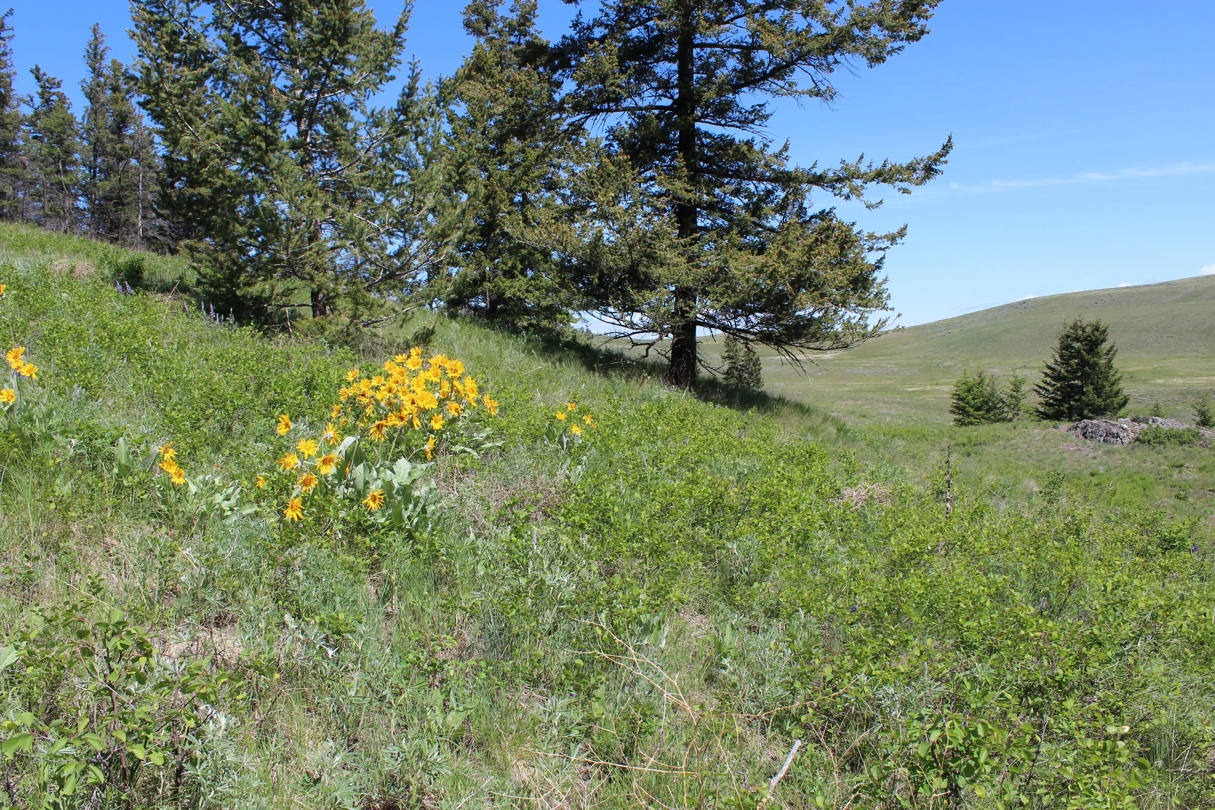 Archaeobotany: Or How I Learned to Stop Worrying and Love Plants