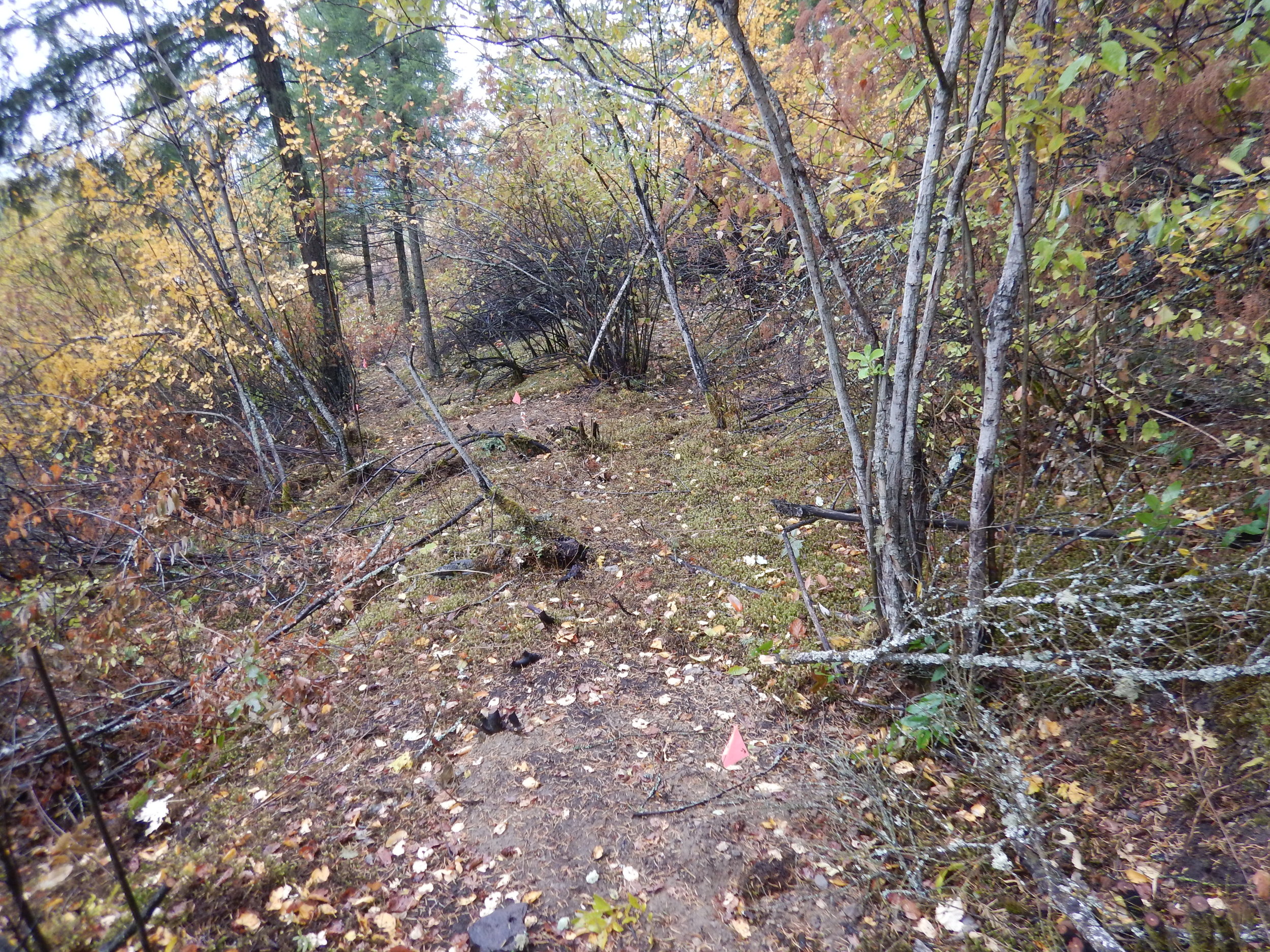 Blazing ancient trails from our past