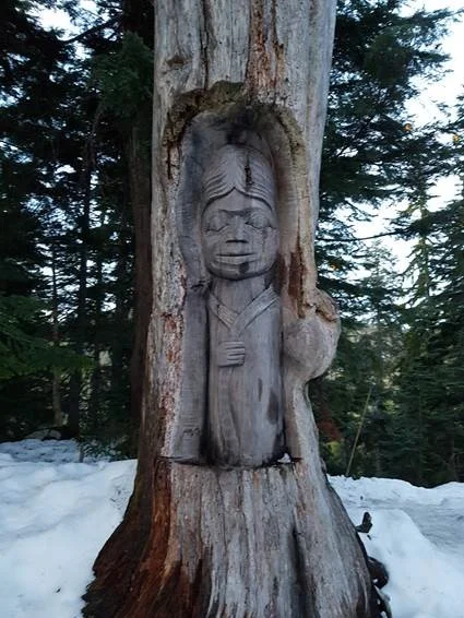 arborglyph.jpg